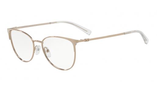 EXCHANGE ARMANI 1034/6103