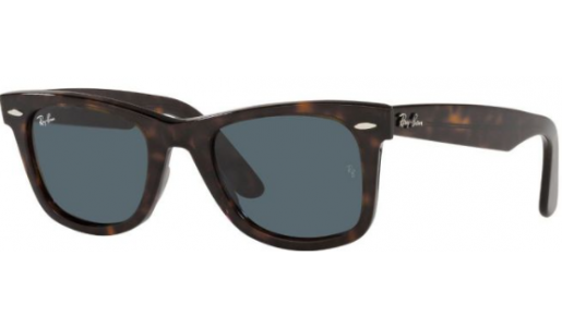 RAY-BAN 2140/902/R5