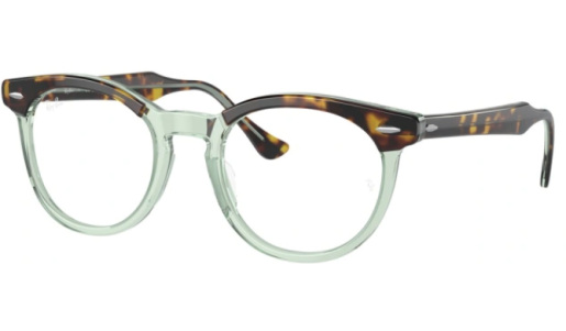 RAY-BAN FRAMES 5598 8249