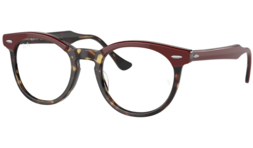 RAY-BAN FRAMES 5598 8250