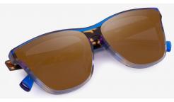 HAWKERS  ONEDTOWNOWN/H10FHX6524